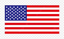 VoIP Phone number- United States